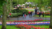 Keukenhof Keukenhof