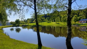 Waldviertel bei Weitra Waldviertel bei Weitra