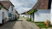 Kellergasse im Weinviertel Kellergasse im Weinviertel