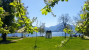 Mondsee, Salzkammergut Mondsee, Salzkammergut